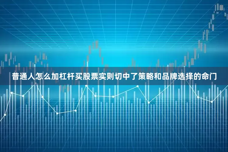 普通人怎么加杠杆买股票实则切中了策略和品牌选择的命门