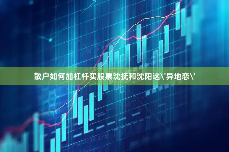 散户如何加杠杆买股票沈抚和沈阳这'异地恋'